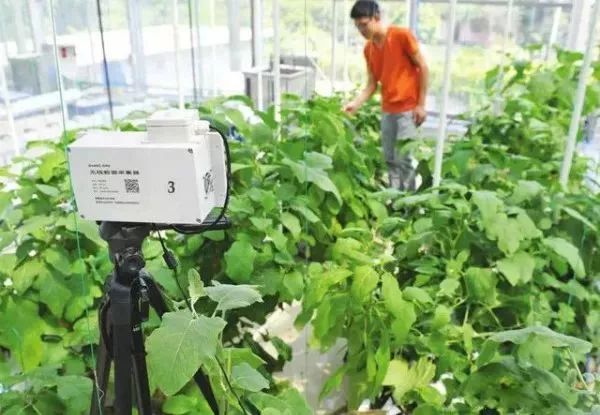 互聯(lián)網(wǎng)+農(nóng)業(yè)，6大創(chuàng)業(yè)方向是…