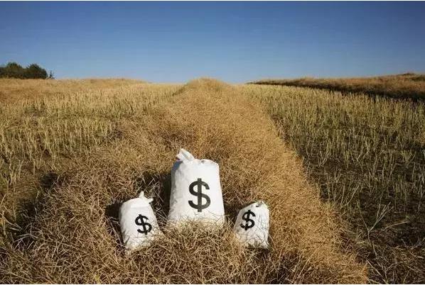 顛覆！裂變！賦能！互聯(lián)網(wǎng)+農(nóng)業(yè)領域的“豬飛起來了”