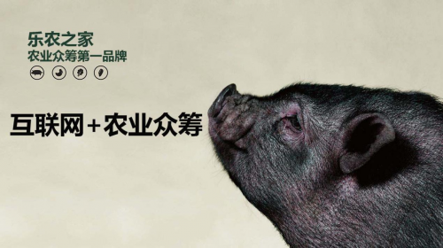 互聯(lián)網(wǎng)+農(nóng)業(yè)眾籌只賺吆喝 利潤全被用戶拿走了？